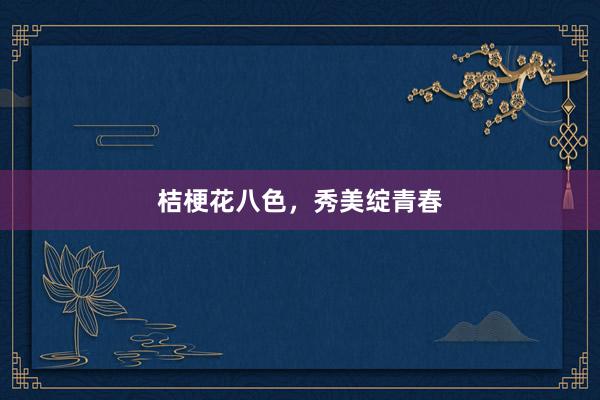 桔梗花八色，秀美绽青春