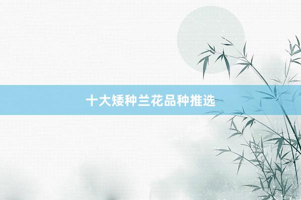 十大矮种兰花品种推选