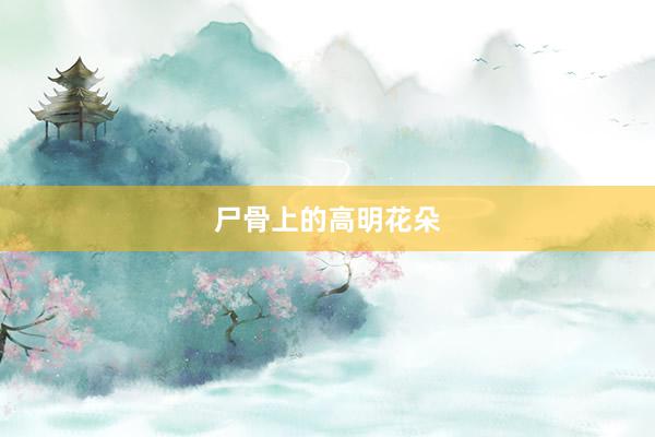 尸骨上的高明花朵