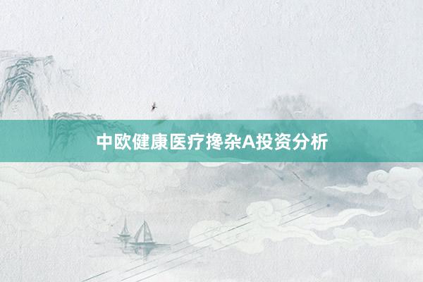 中欧健康医疗搀杂A投资分析