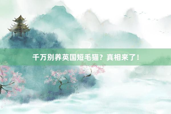 千万别养英国短毛猫？真相来了！